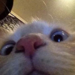 [ Content Deleted 3287529 ]