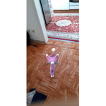 Armanarmypokemon go
