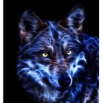 Galaxy Of Wolves