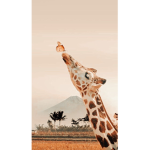 Giraffe squad forever <3