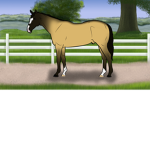 Lily Pad Lake Riding Academy