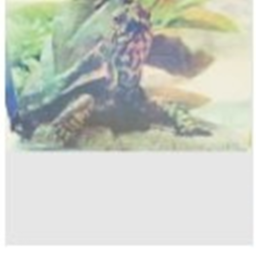 Turtles are Cute :D Meeting place (STAFF ONLY)