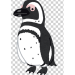 Antartica s penguins official