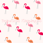 Beautiful Flamingo's