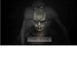 The Rake