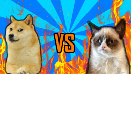 Doge War