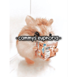 • cammys euphoria •