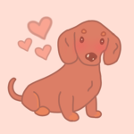 The Dainty Daisy