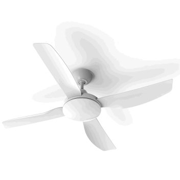 Fan Frenzy
