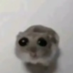 The Meece Group