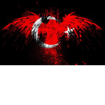 {TKB}Türkiye Komanda Birliği
