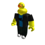 DUCKS WHO LOVE PEOPLE
