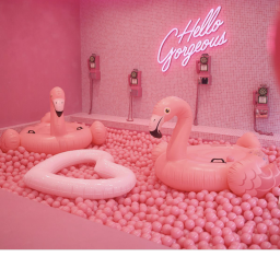 pinkstudio