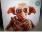 Dobby club