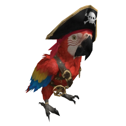 Pirate Roblox item