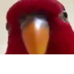 [SCP][Foundation][REDACTED]