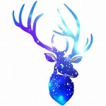 RAINDEERS RULE THE YT IS THE DROOL!