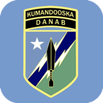 Ciidamada DANAB