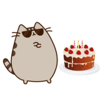 Cat and Cake