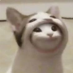 juopik666是gay