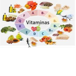 The Vitamina Group