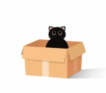 Cat Box Studio