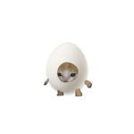 Egg the group