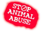 Stand up for the animals/pet