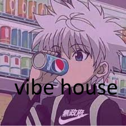 vibe house.