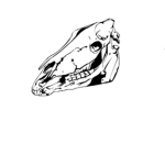 The Holy Boneguard
