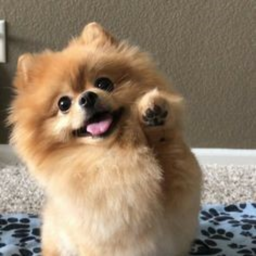 ✩꒷꒦꒷꒷꒦꒷✩