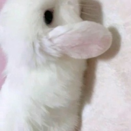 ♡