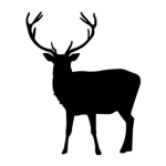 StagArmy