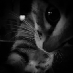 ﹒