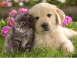 best FRIENDS group!! :D