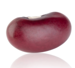 The team Bean