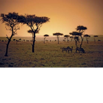 The Sahara 2.0