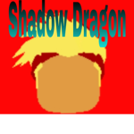 shadow dragon squad