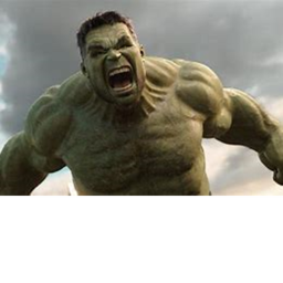 SURVIVAL HULK THE KILLER