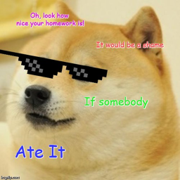 doge mania