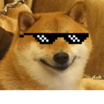 the doggo group do you love doggo