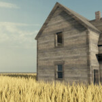 CENSUS DESIGNATED