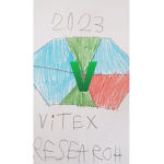VITEX STUDIO