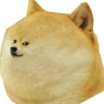 doge.fan.club