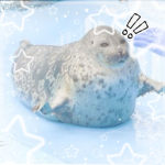 SuperSilly Seals