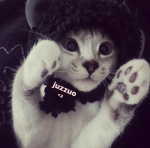 juzzuo