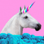 The Super Unicorns