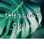 tHe pLanT CycLe