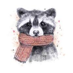 THE RACCOONS FAN CLUB