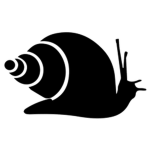 -VoidsCloset-